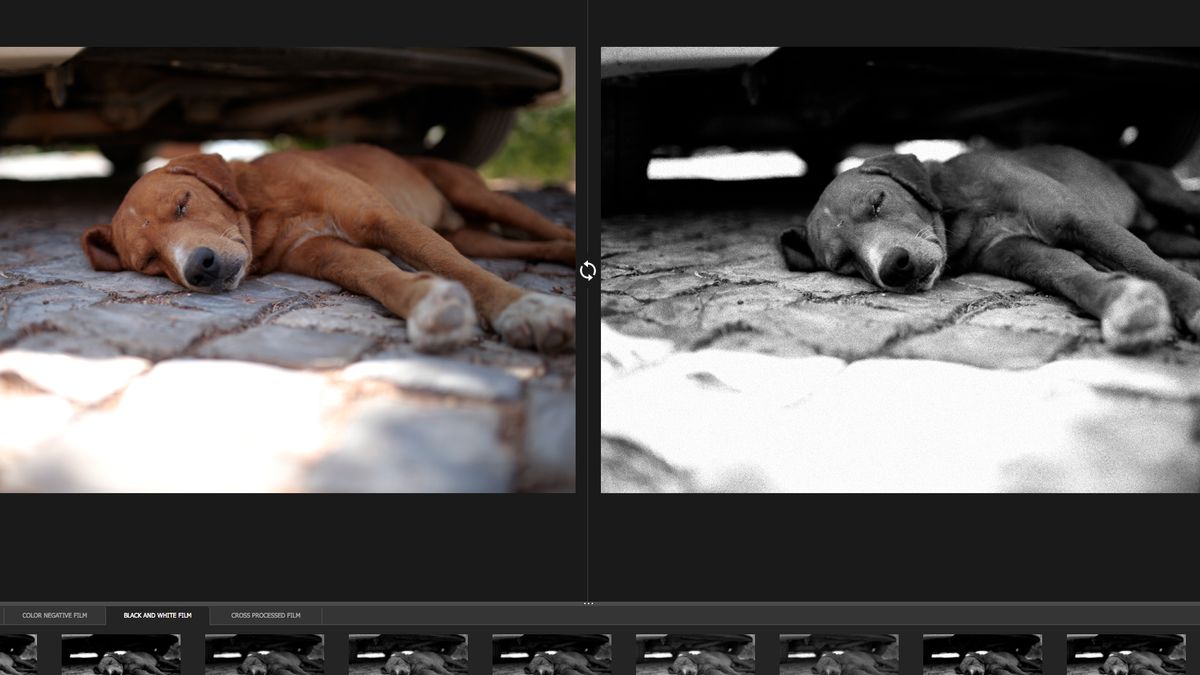 Analogowy powiew na Twoich zdjęciach, czyli DxO FilmPack 3 zupełnie za darmo! 1