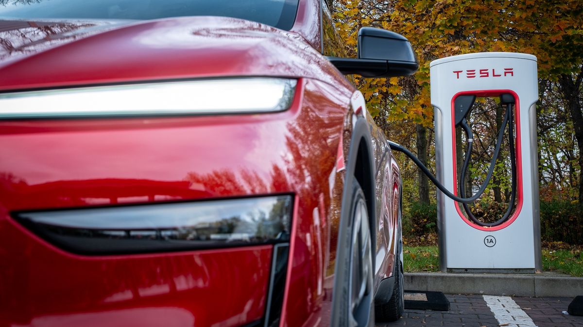 Tesla Model Y Performance (2025)