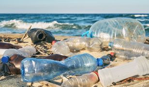 Wtedy wejdzie system kaucyjny. Wiceminister podała termin