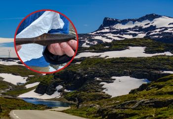 Odsłonił je topniejący lód. Sensacyjne odkrycie w Norwegii
