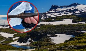 Odsłonił je topniejący lód. Sensacyjne odkrycie w Norwegii