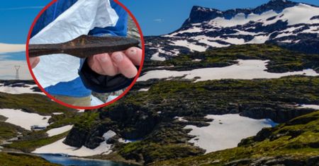 Odsłonił je topniejący lód. Sensacyjne odkrycie w Norwegii