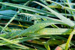 Pogoda. Wrocław. 10 października - piękna jesień, ale do czasu. Od wtorku opady deszczu