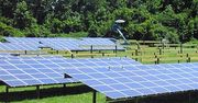 Carolina Solar Energy otwiera solarny park o mocy 650kW