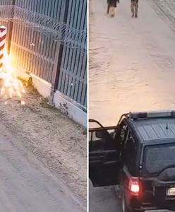 Gorąco na granicy z Białorusią. Wszystko się nagrało