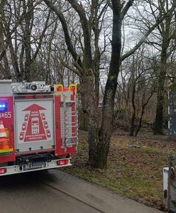 102-latka wyczuła gaz. Strażacy oniemieli, gdy przybyli na miejsce