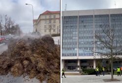 Obornik przed Urzędem Wojewódzkim w Poznaniu. "Niczego nie załatwi"