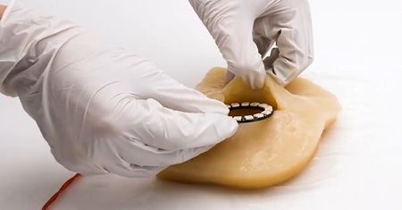 Pad do grania z bakterii i drożdży. Tylko odważni wezmą do ręki