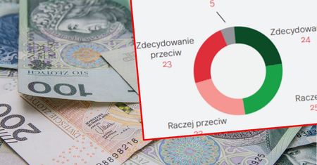 Dochód podstawowy. Temat dzieli Polaków. Eksperci wyliczyli koszty na 376 mld zł rocznie