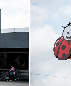 Lidl, Biedronka i Kaufland pod lupą UOKiK. Poszło o wódkę