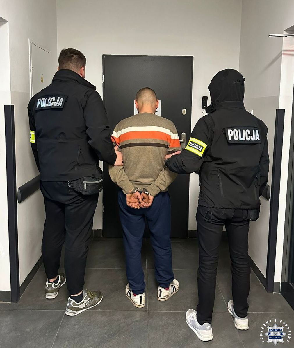 Zatrzymany sprawca serii włamań i kradzieży