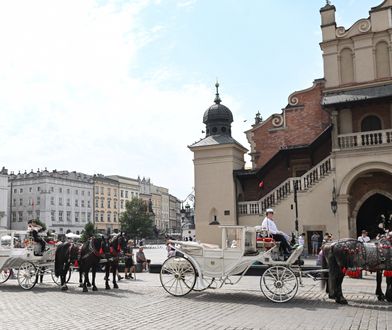 Dostali zakaz przejazdu dorożką przez krakowski Rynek Główny