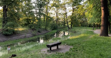 Wrocław. Pogoda. 6 lipca - ciepło, ale nie upalnie. Deszcz na horyzoncie