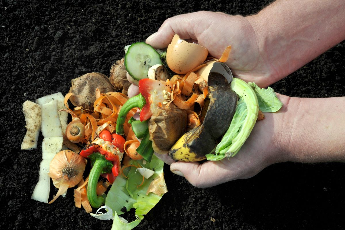 Tworzenie kompostu to niezwykle ekologiczne rozwiązanie.