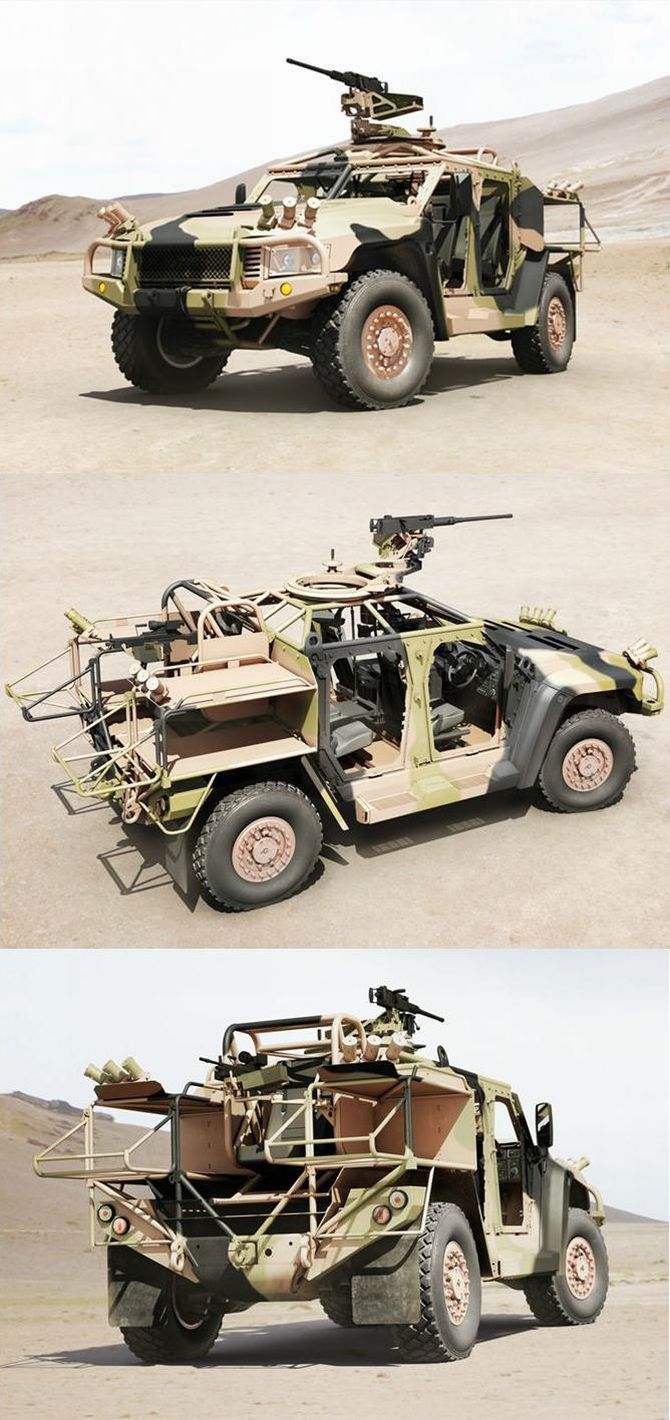Hawkei – jadowity twardziel z Australii [wideo] 6