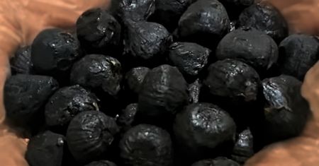 Nowy superfood? Czosnek, który nie pachnie, a działa cuda