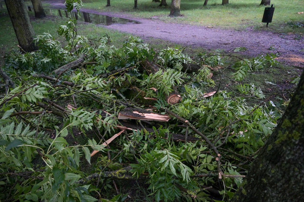 Burze przeszły przez Wielkopolskę. Wiele interwencji straży pożarnej. Obyło się jednak bez rannych
