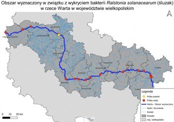 Warta skażona bakterią. Bez zagrożenia dla ludzi, ale szkodzi uprawom