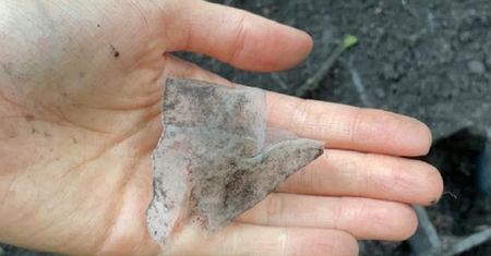 Zakopała w ziemi torebkę po herbacie. Pani naukowiec wywołała aferę