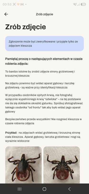 PRAGMATICK