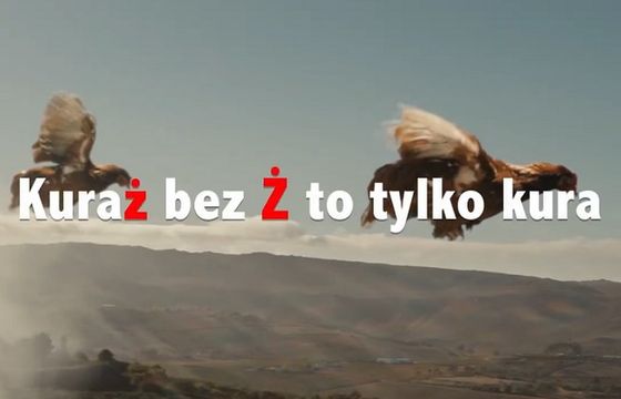 KER: latające kury w reklamie nie sugerują, że piwo Żywiec daje nierealistyczne zdolności