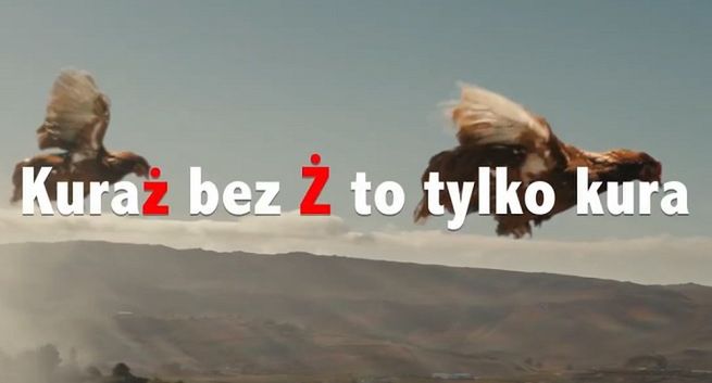 KER: latające kury w reklamie nie sugerują, że piwo Żywiec daje nierealistyczne zdolności