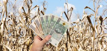 Wnioski suszowe 2025 – ostatnie dni na zgłoszenie strat!