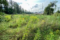 Wrocław. Obszary zdegradowane mają się zmieniać. Przyjęto uchwałę delimitacyjną