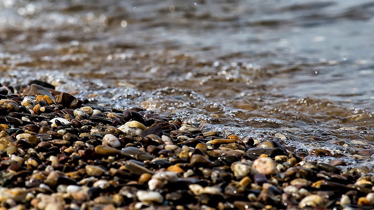 A new Amazon fish named after a Tolkien character discovered