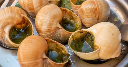 Francuzi jedzą na kilogramy. Polakom na samą myśl cierpnie skóra
