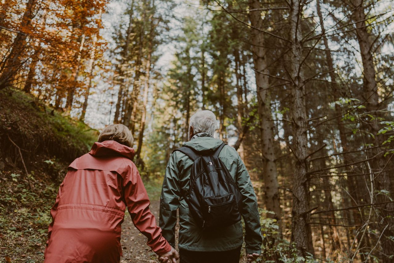 Our autumn adventure in the nature
Photo of an elderly couple during a pleasant autumn walk through the forest
AleksandarNakic