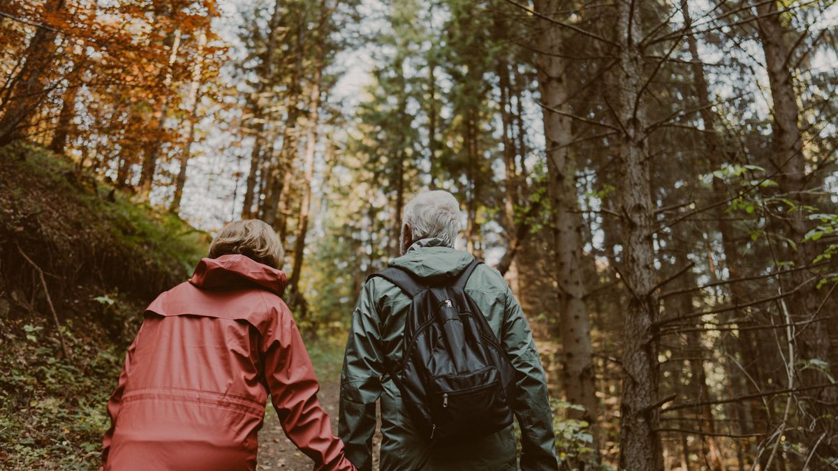 Our autumn adventure in the nature
Photo of an elderly couple during a pleasant autumn walk through the forest
AleksandarNakic