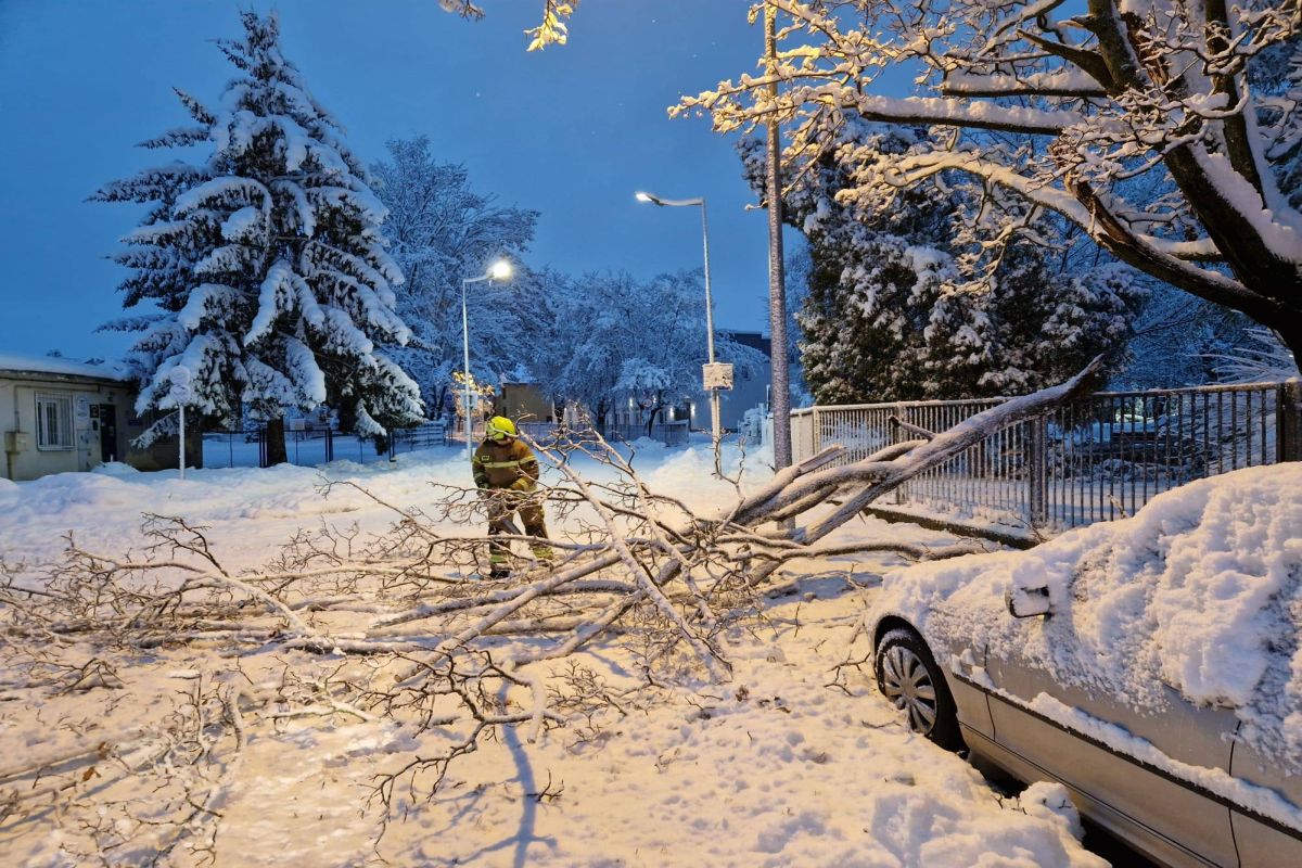 Śnieżny armagedon na Podkarpaciu. Prawie 55 tys. ludzi bez prądu