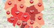 Koronawirus w Polsce. Mapa pokazuje wzrost zachorowań. Na świecie już 7 milionów zakażeń