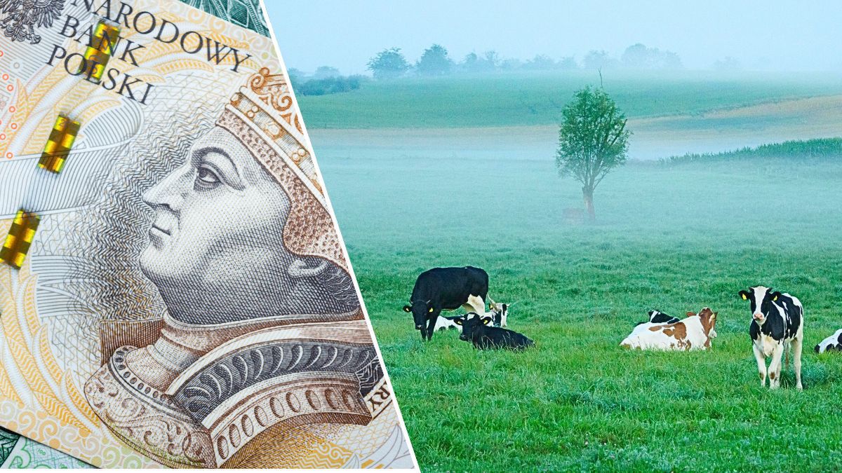 Do wzięcia 234 ha od KOWR. Zaskakująco niski czynsz, jednak jest pewne „ale”