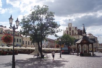 Pogoda w Rzeszowie. Prognoza na poniedziałek 23 lutego. Silniejszy wiatr, przelotne opady