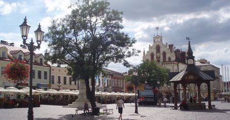 Pogoda w Rzeszowie. Prognoza na poniedziałek 23 lutego. Silniejszy wiatr, przelotne opady