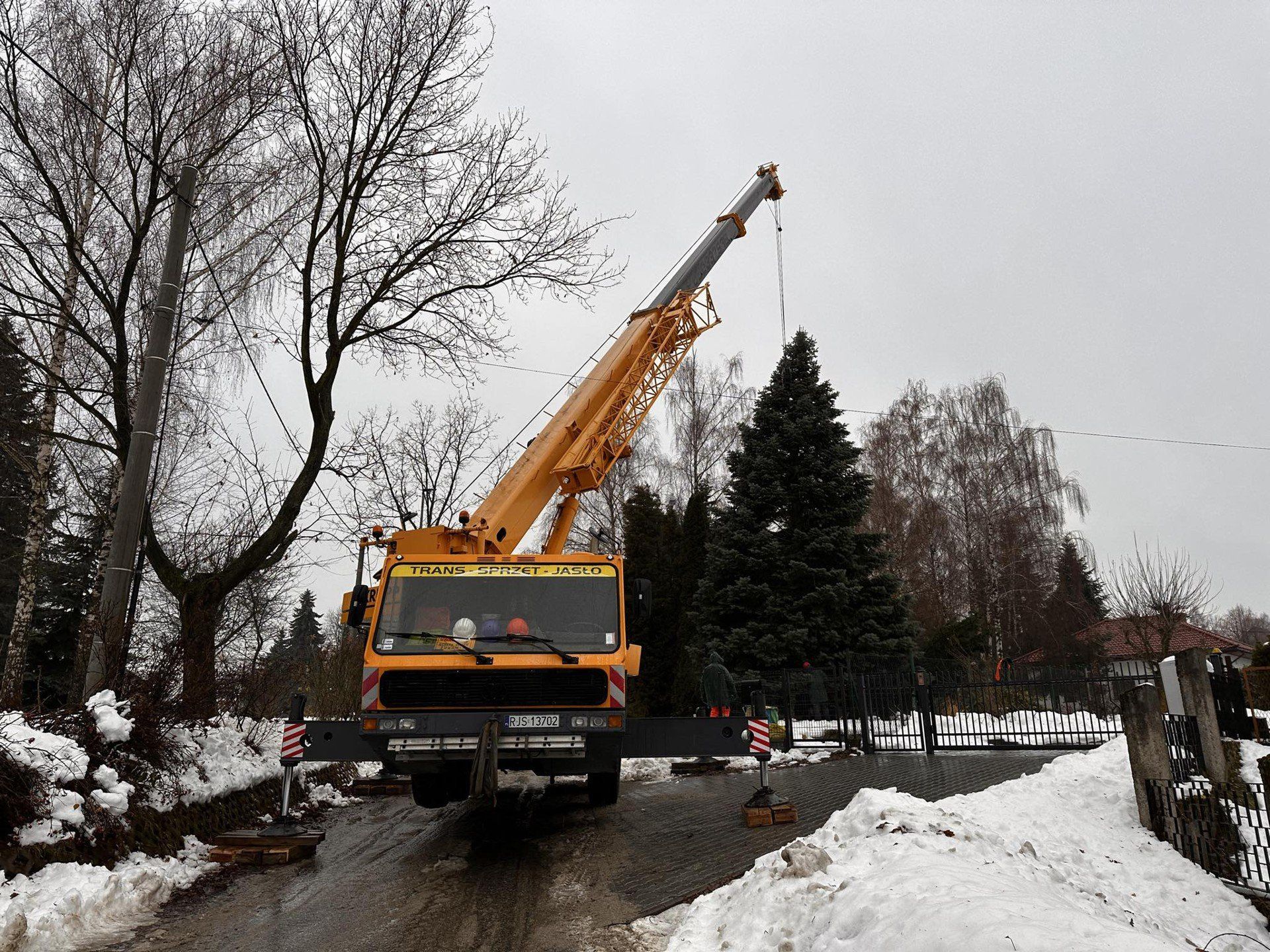 Choinka ruszyła na gorlicki Rynek