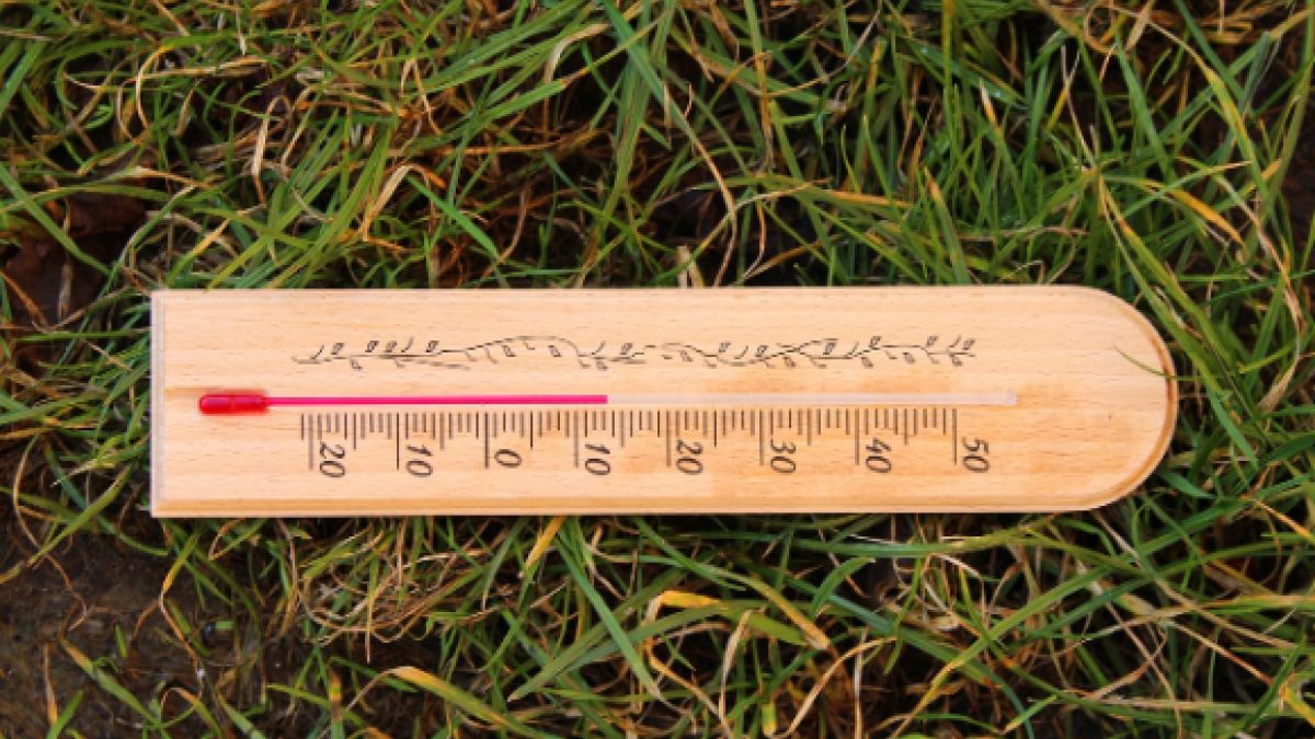 Przed nami pogodny początek września