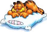 Garfield przemówi głosem Marka Kondrata