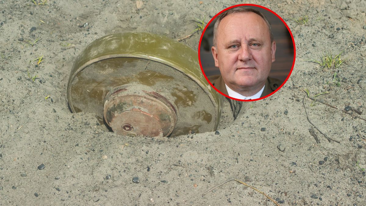 Wojskowi krytykują pomysł gen. Skrzypczaka o polach minowych