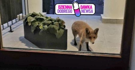 "Mamy nowego pracownika!" Niezwykły gość przed biurem leśników