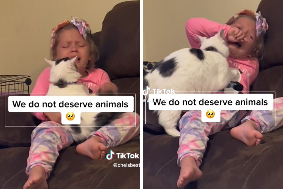 Kot reaguje na płacz dziecka