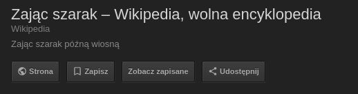 A tak jest obecnie: Google nie chce, byśmy mogli bezpośrednio zobaczyć obrazki