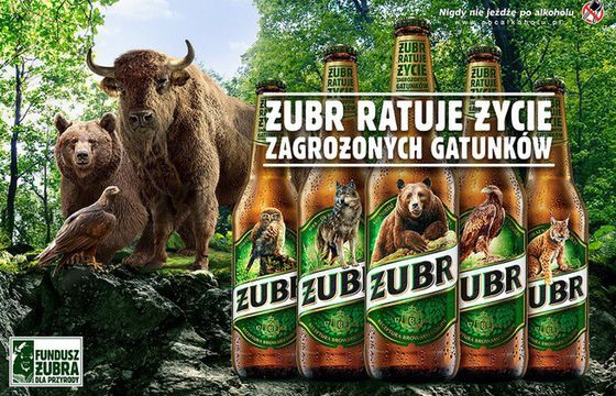 Wizerunek Żubra znika z etykiet piwa w ramach 2. edycji akcji na rzecz zagrożonych gatunków zwierząt