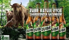 Wizerunek Żubra znika z etykiet piwa w ramach 2. edycji akcji na rzecz zagrożonych gatunków zwierząt