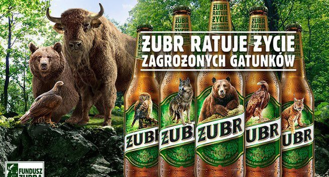 Wizerunek Żubra znika z etykiet piwa w ramach 2. edycji akcji na rzecz zagrożonych gatunków zwierząt