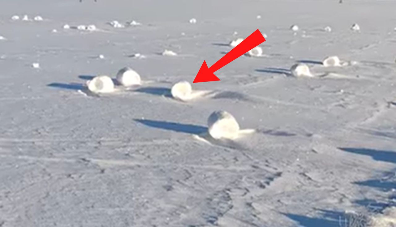 Rzadkie zjawisko uchwycone w Polsce. Tysiące reakcji