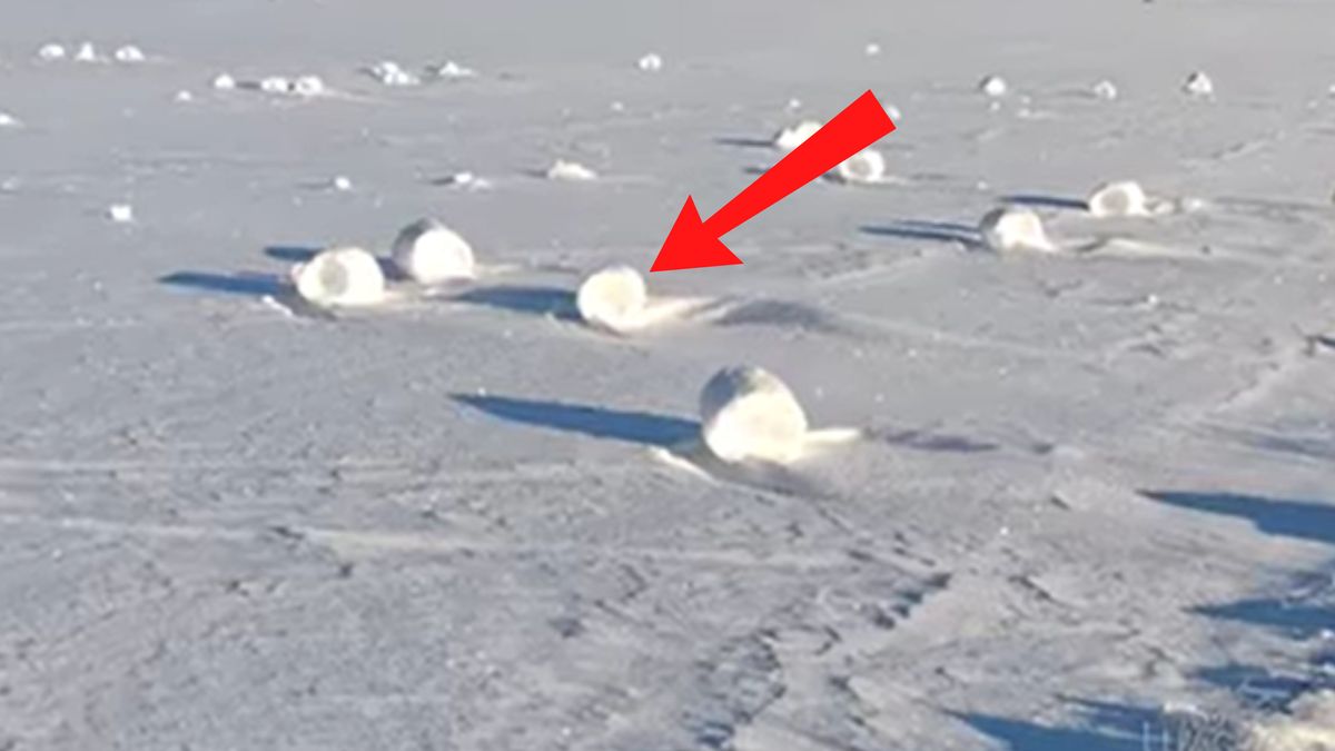 Zjawisko rolek śnieżnych.