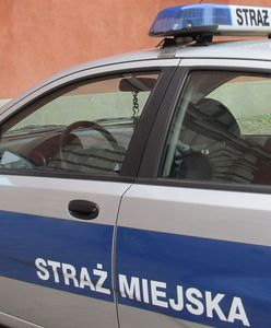 Bilet zamiast mandatu. Akcja Straży Miejskiej na Śląsku